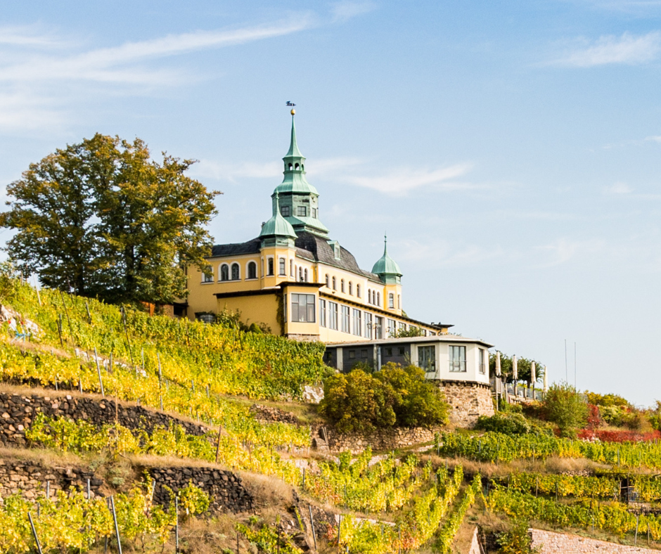 In Radebeul bringen wir Expertise in die Weinberge – fundierte Immobilienbewertung mit Ortskenntnis.
